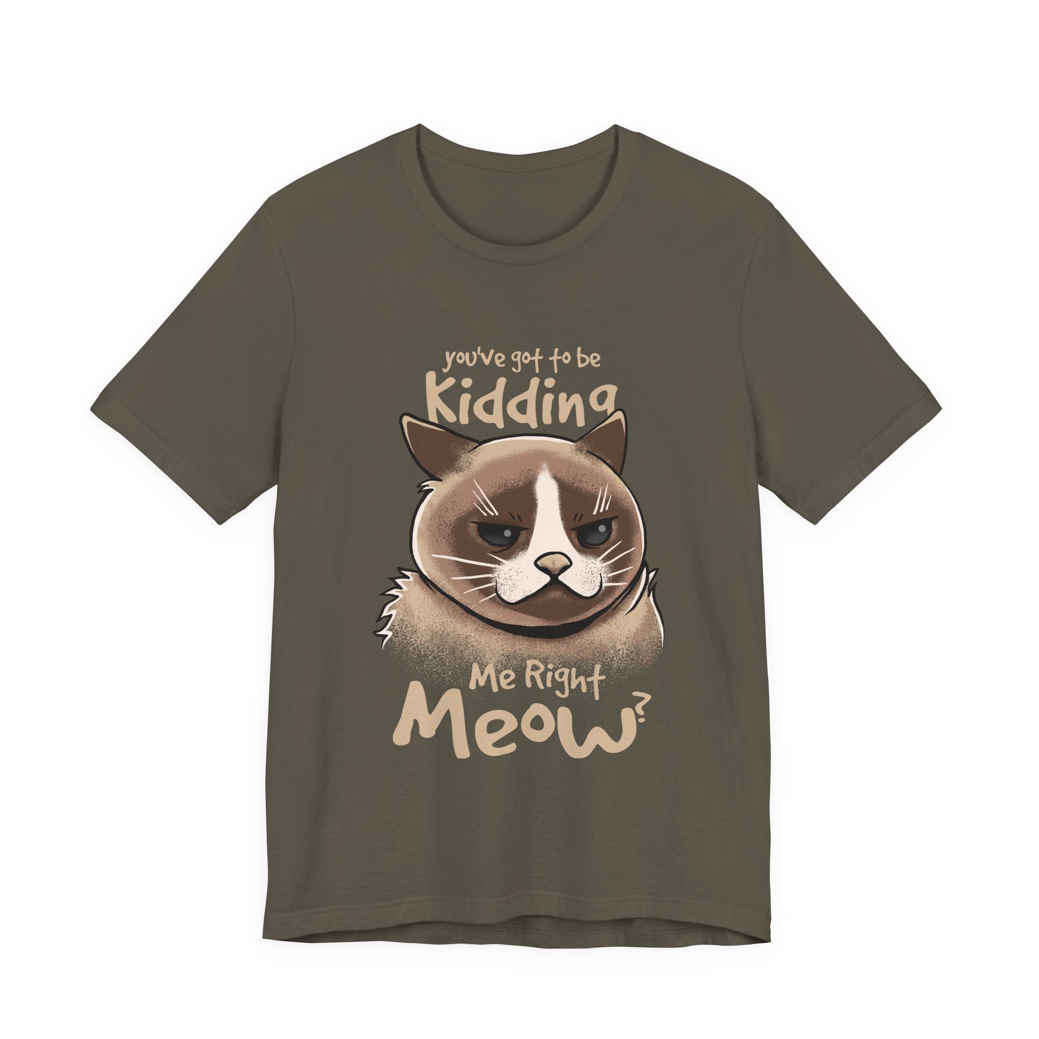 Grumpy Cat “You’ve Got to Be Kidding Me Right Meow” T-Shirt