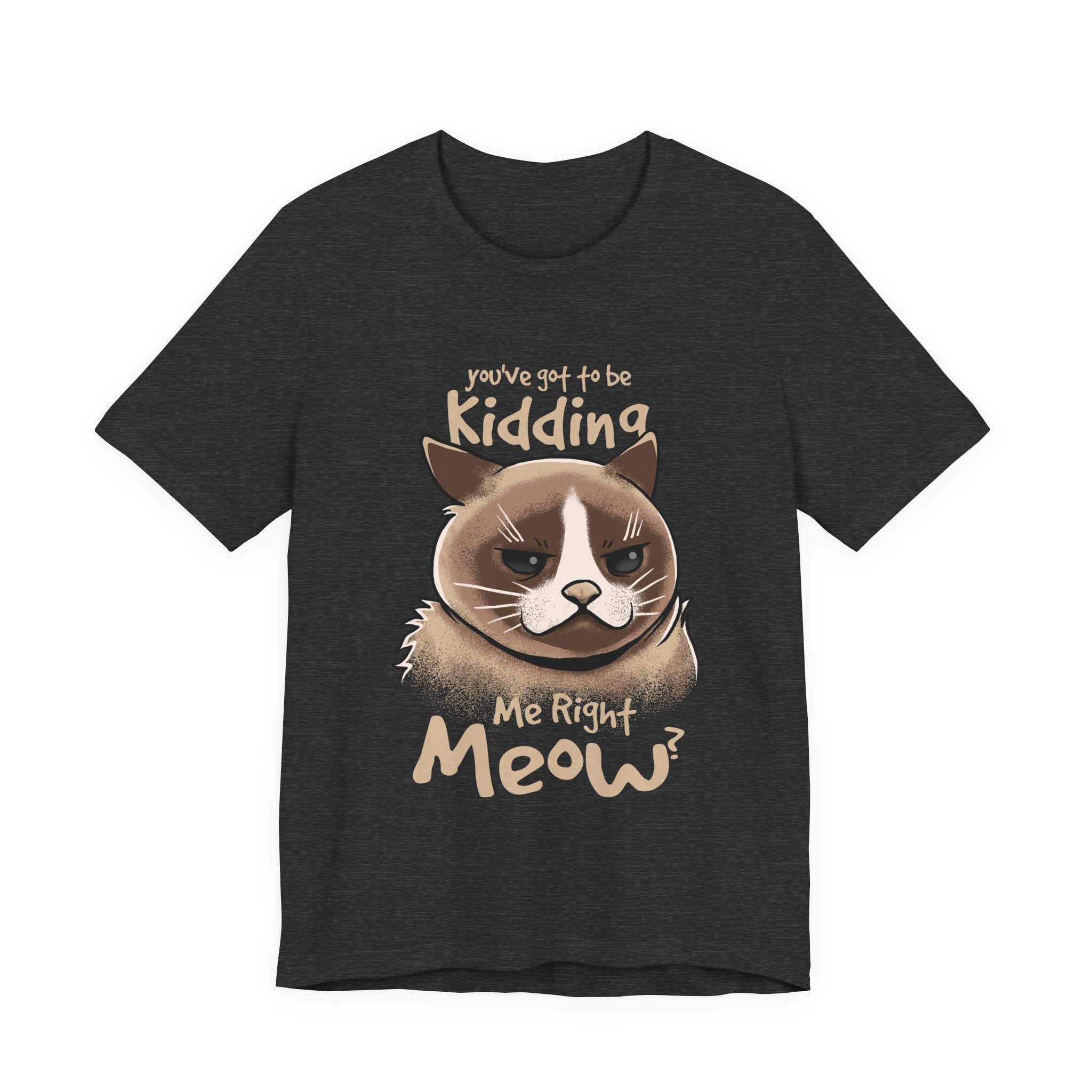 Grumpy Cat “You’ve Got to Be Kidding Me Right Meow” T-Shirt