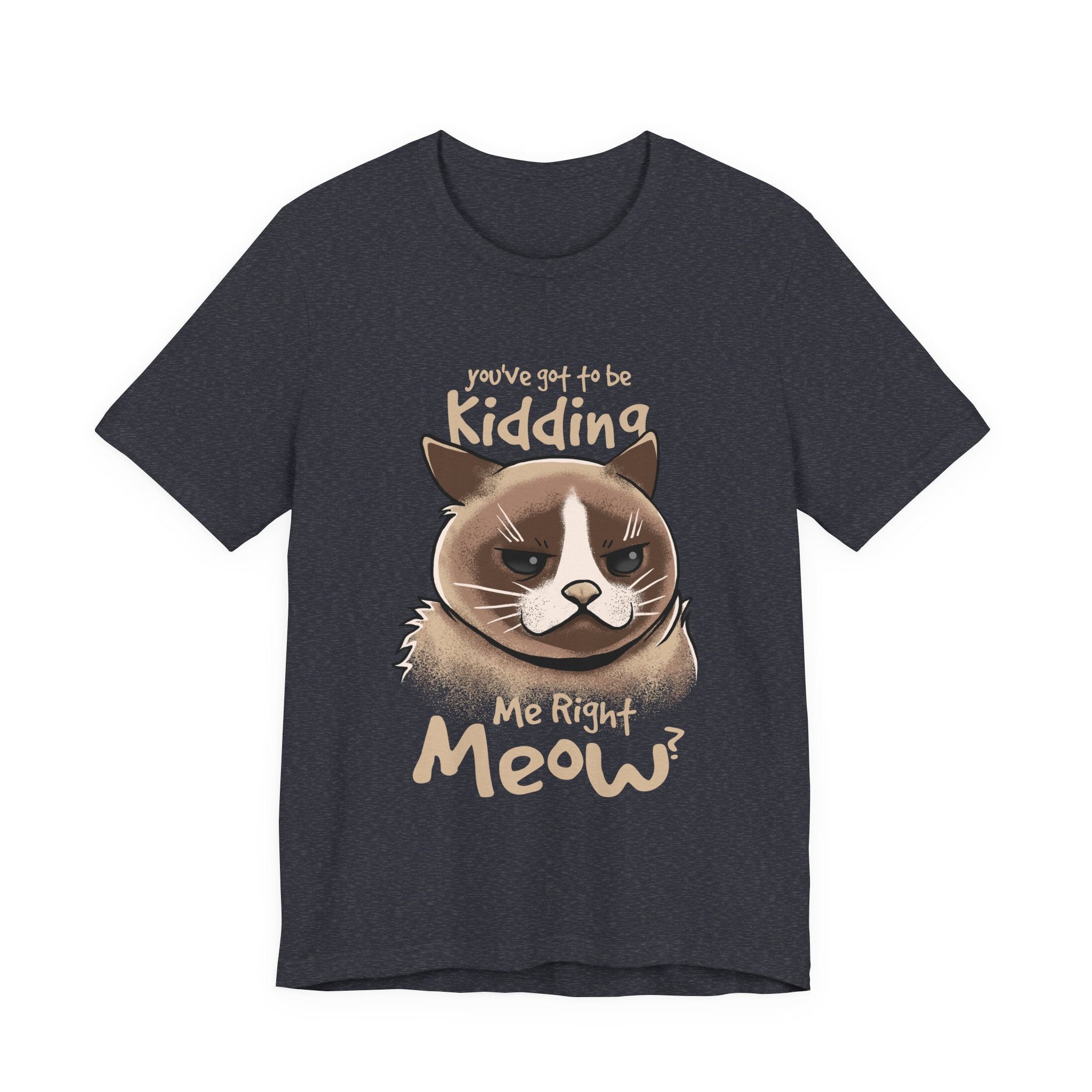 Grumpy Cat “You’ve Got to Be Kidding Me Right Meow” T-Shirt