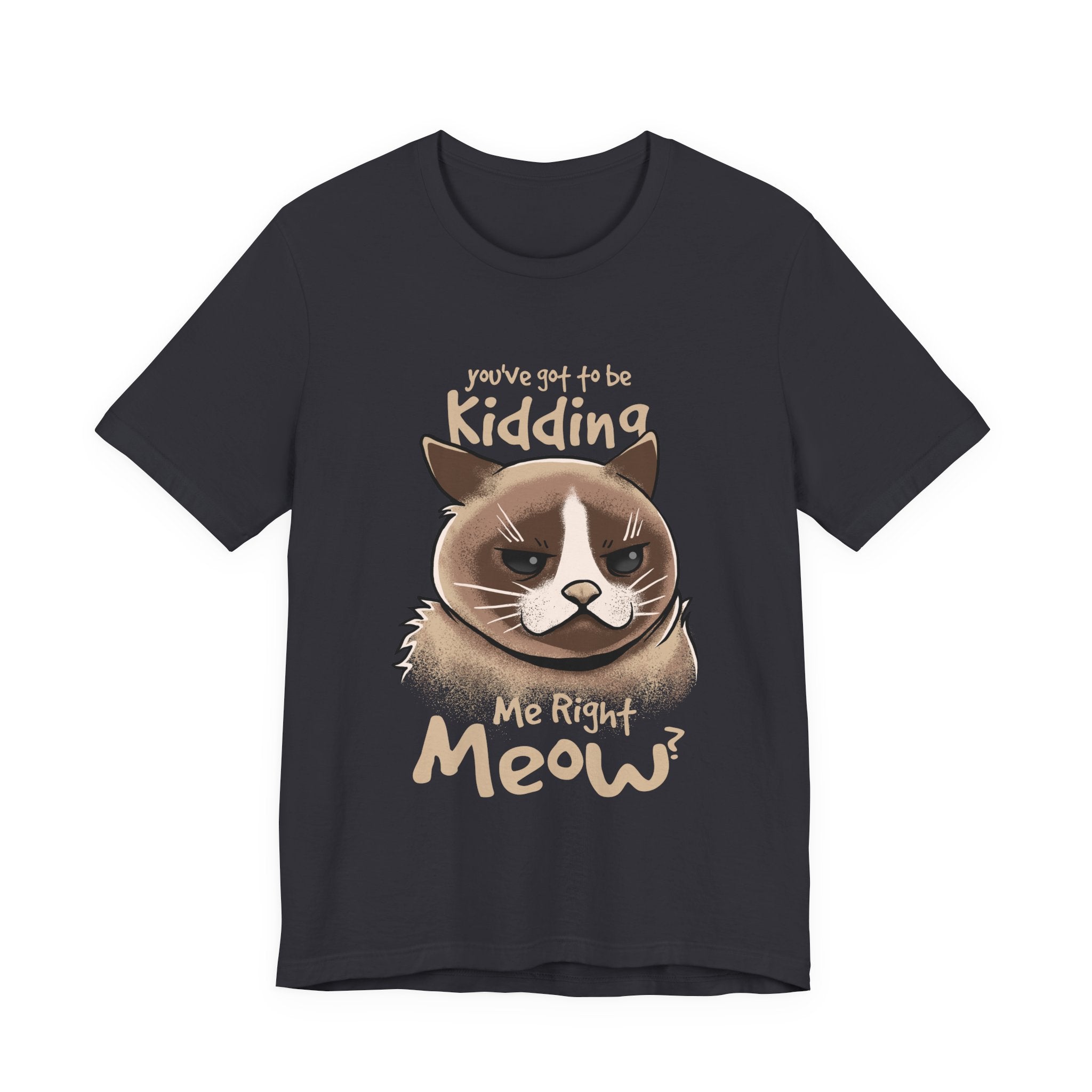 Grumpy Cat “You’ve Got to Be Kidding Me Right Meow” T-Shirt