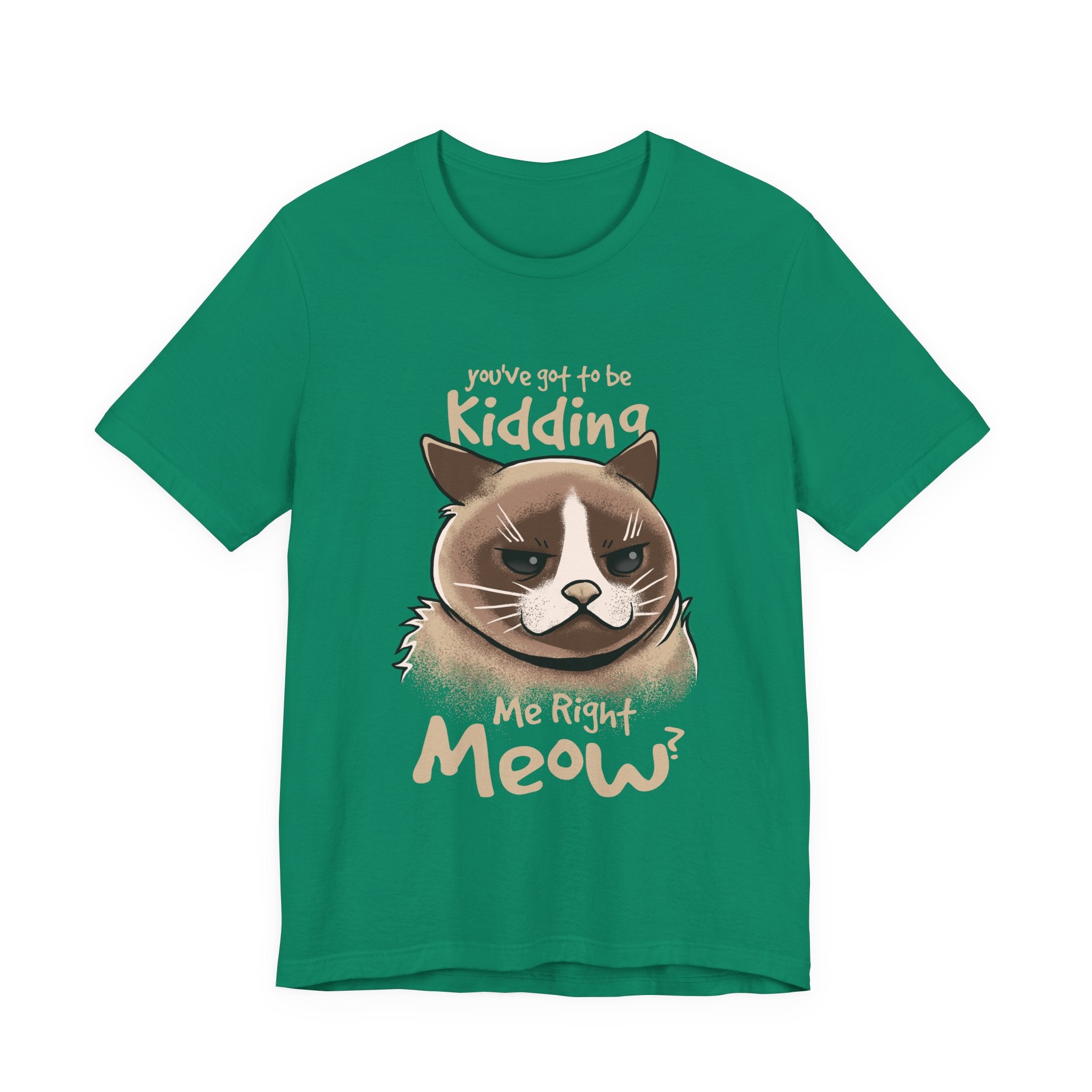 Grumpy Cat “You’ve Got to Be Kidding Me Right Meow” T-Shirt