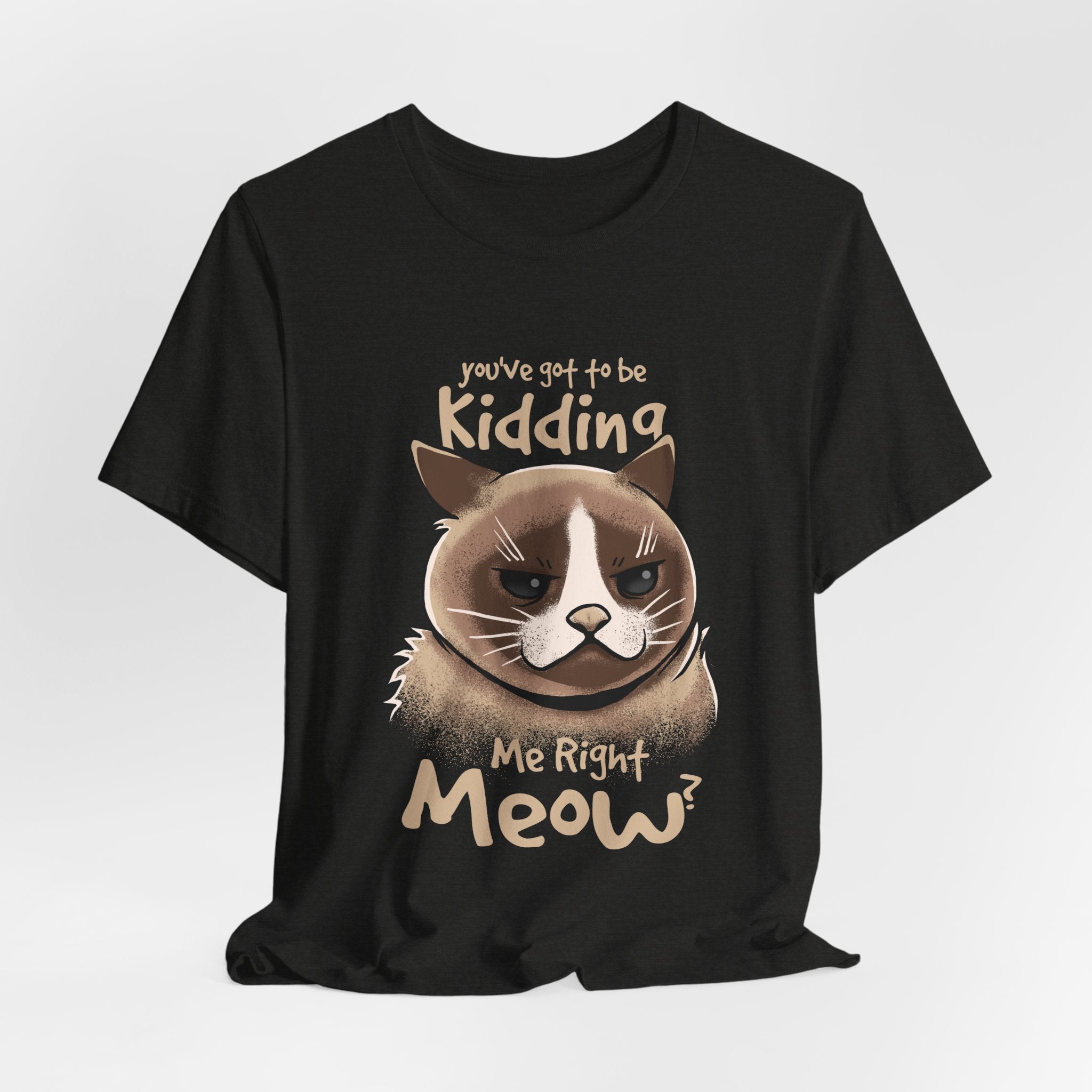 Grumpy Cat “You’ve Got to Be Kidding Me Right Meow” T-Shirt