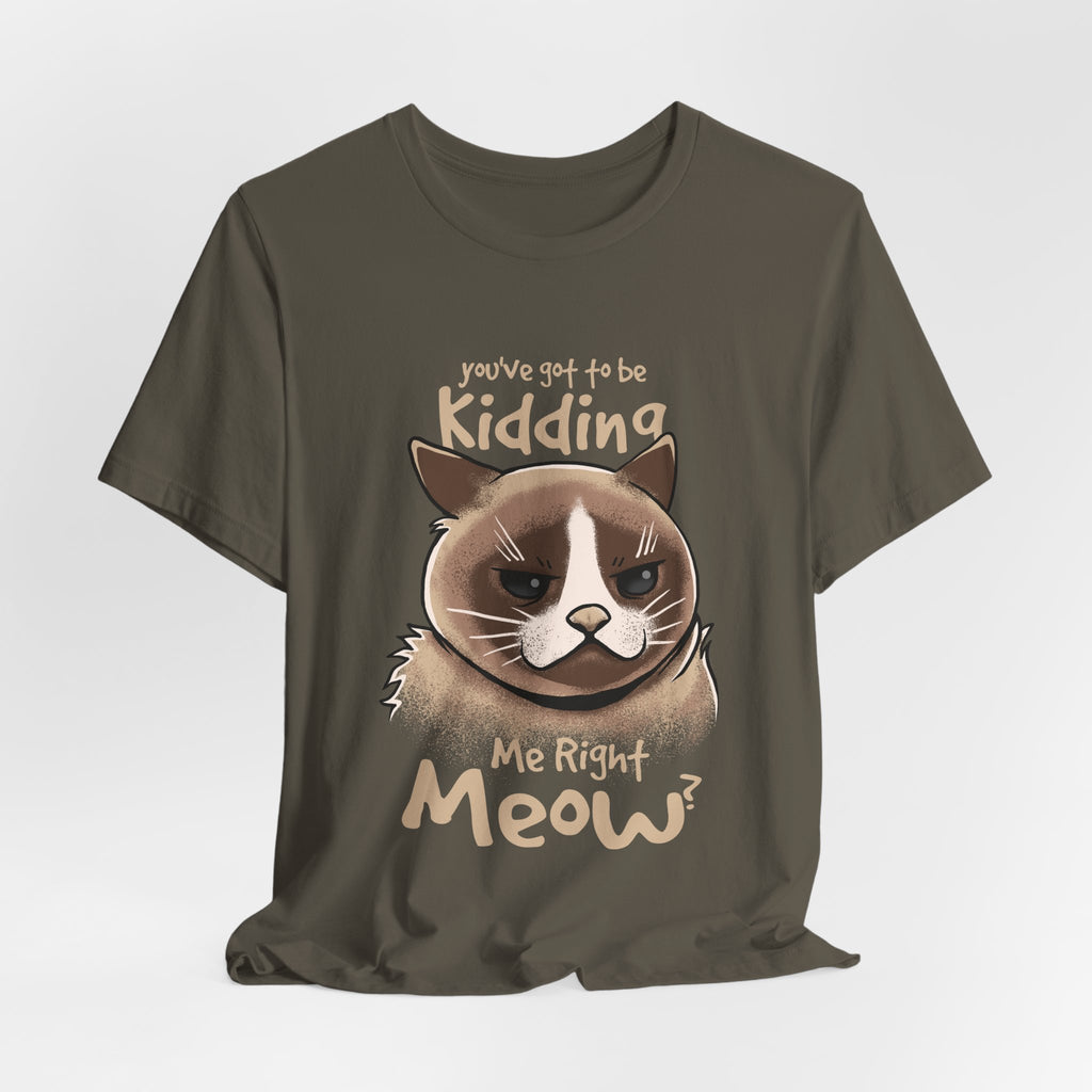Grumpy Cat “You’ve Got to Be Kidding Me Right Meow” T-Shirt