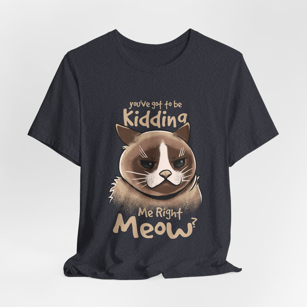 Grumpy Cat “You’ve Got to Be Kidding Me Right Meow” T-Shirt