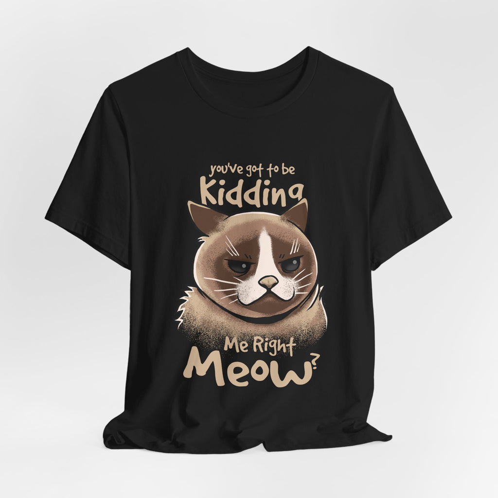 Grumpy Cat “You’ve Got to Be Kidding Me Right Meow” T-Shirt