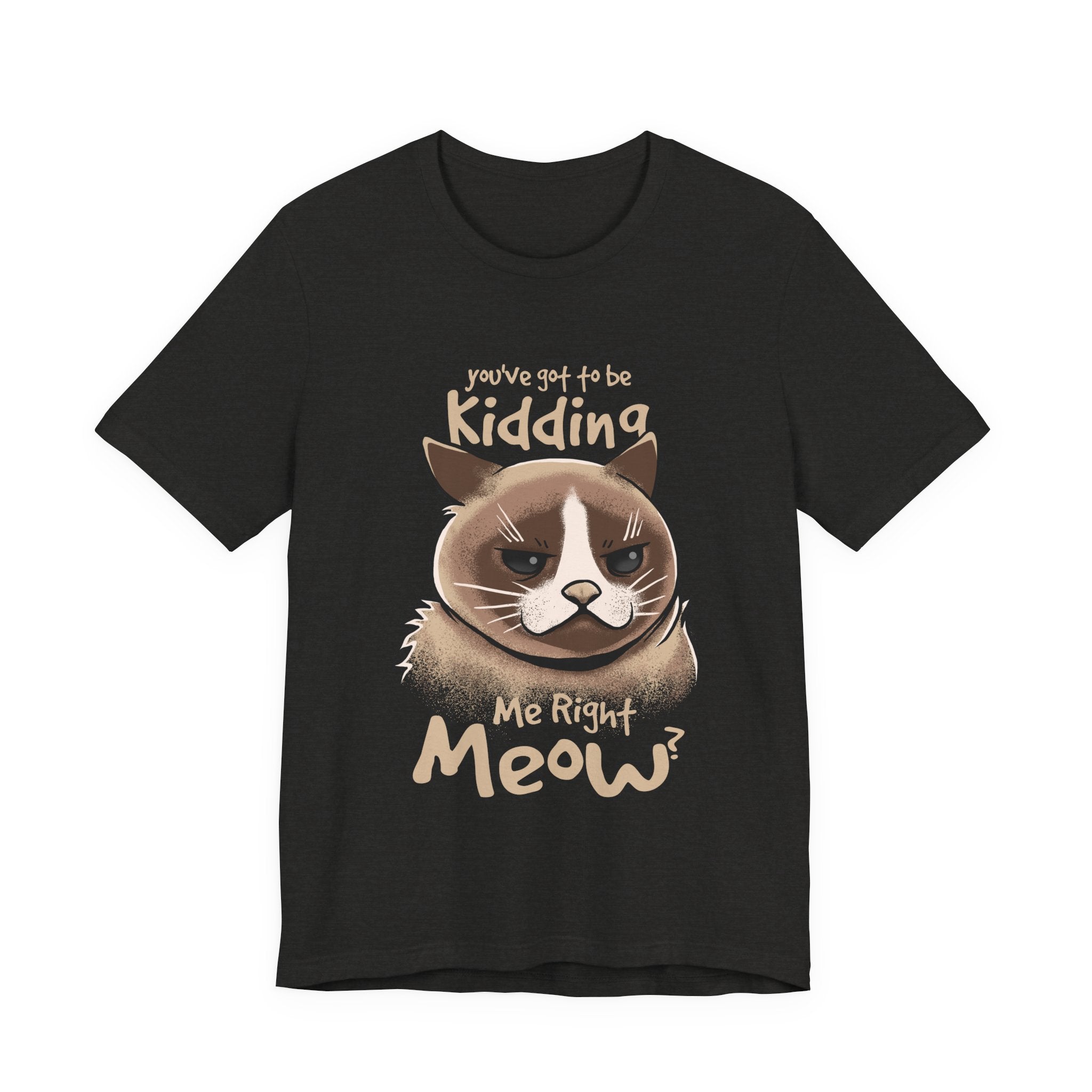 Grumpy Cat “You’ve Got to Be Kidding Me Right Meow” T-Shirt