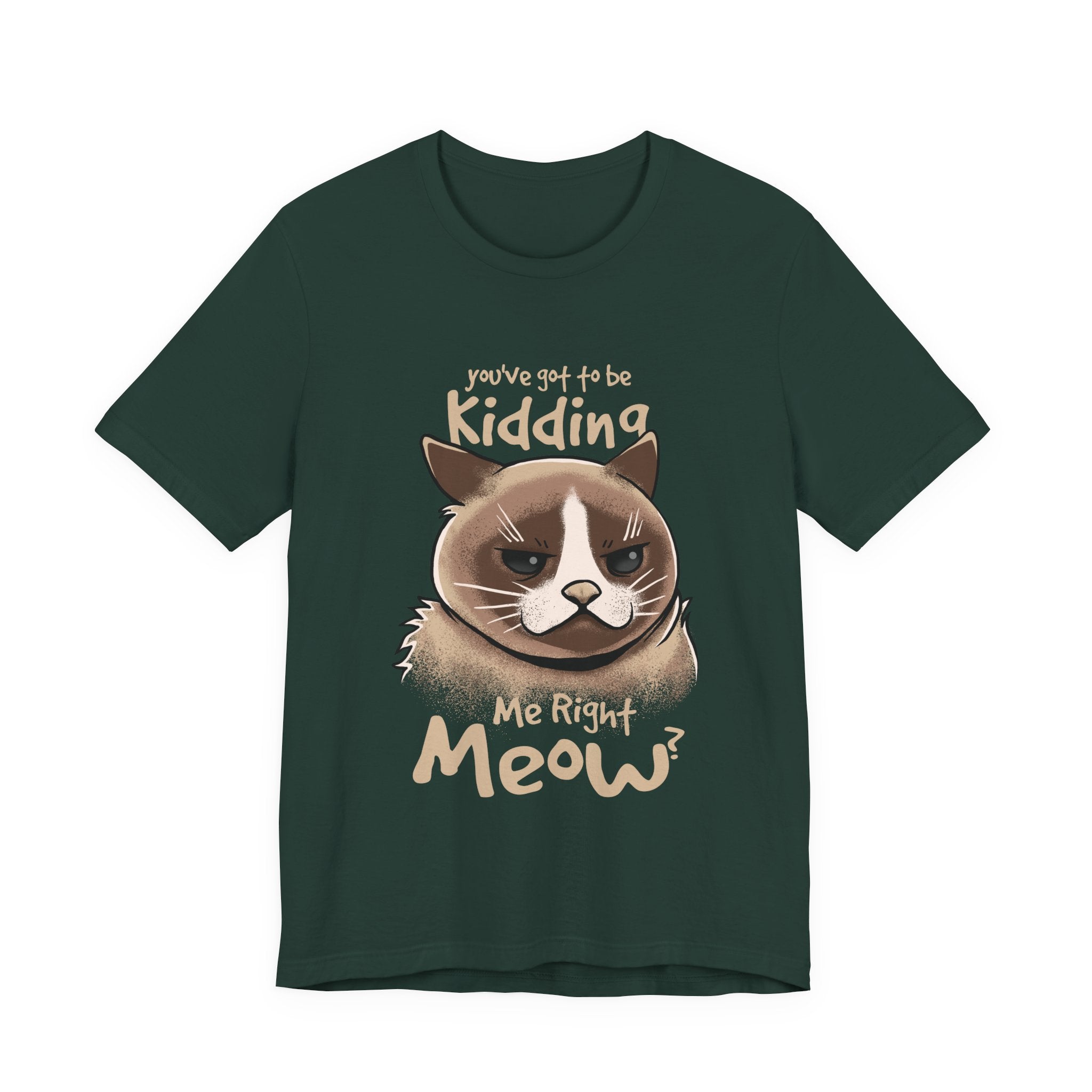 Grumpy Cat “You’ve Got to Be Kidding Me Right Meow” T-Shirt