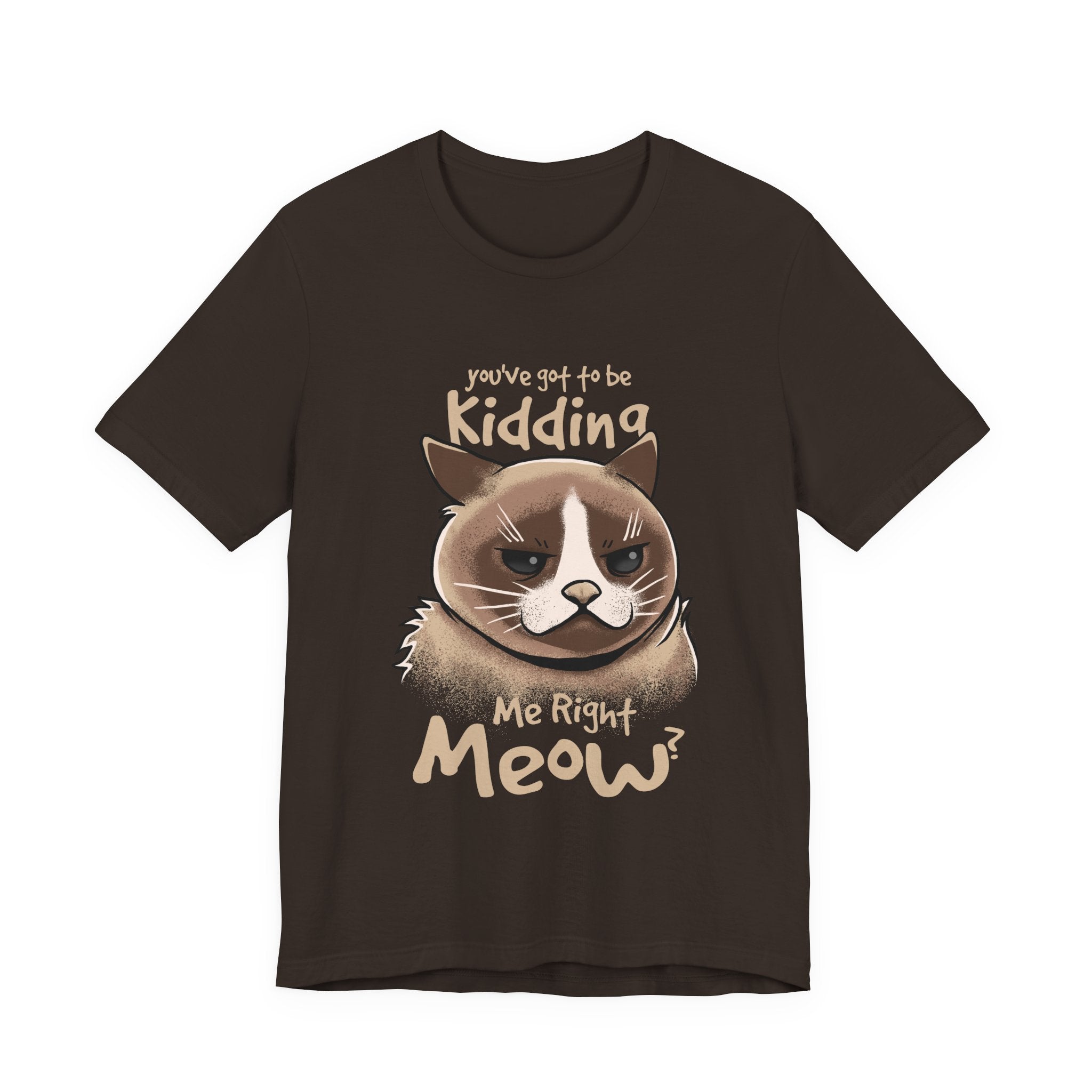 Grumpy Cat “You’ve Got to Be Kidding Me Right Meow” T-Shirt