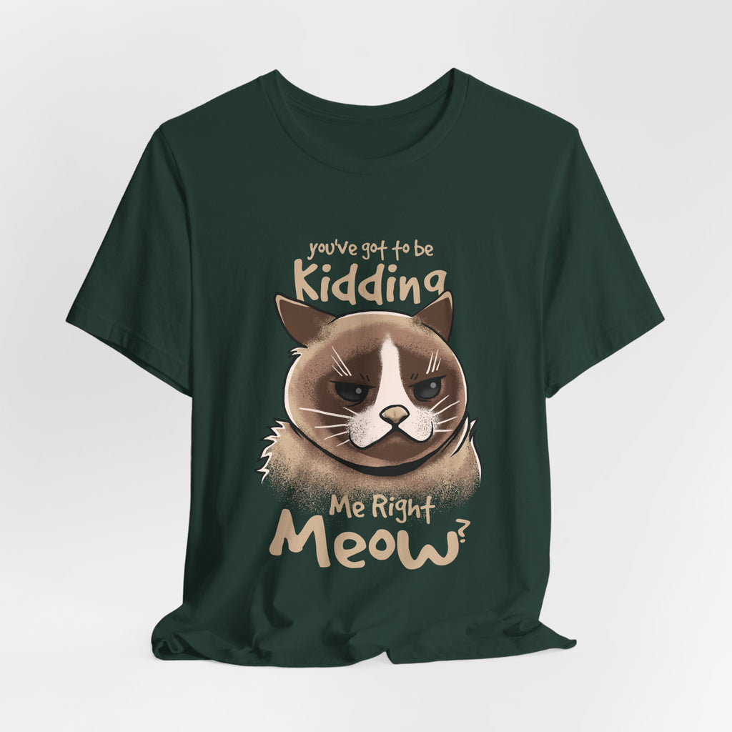 Grumpy Cat “You’ve Got to Be Kidding Me Right Meow” T-Shirt
