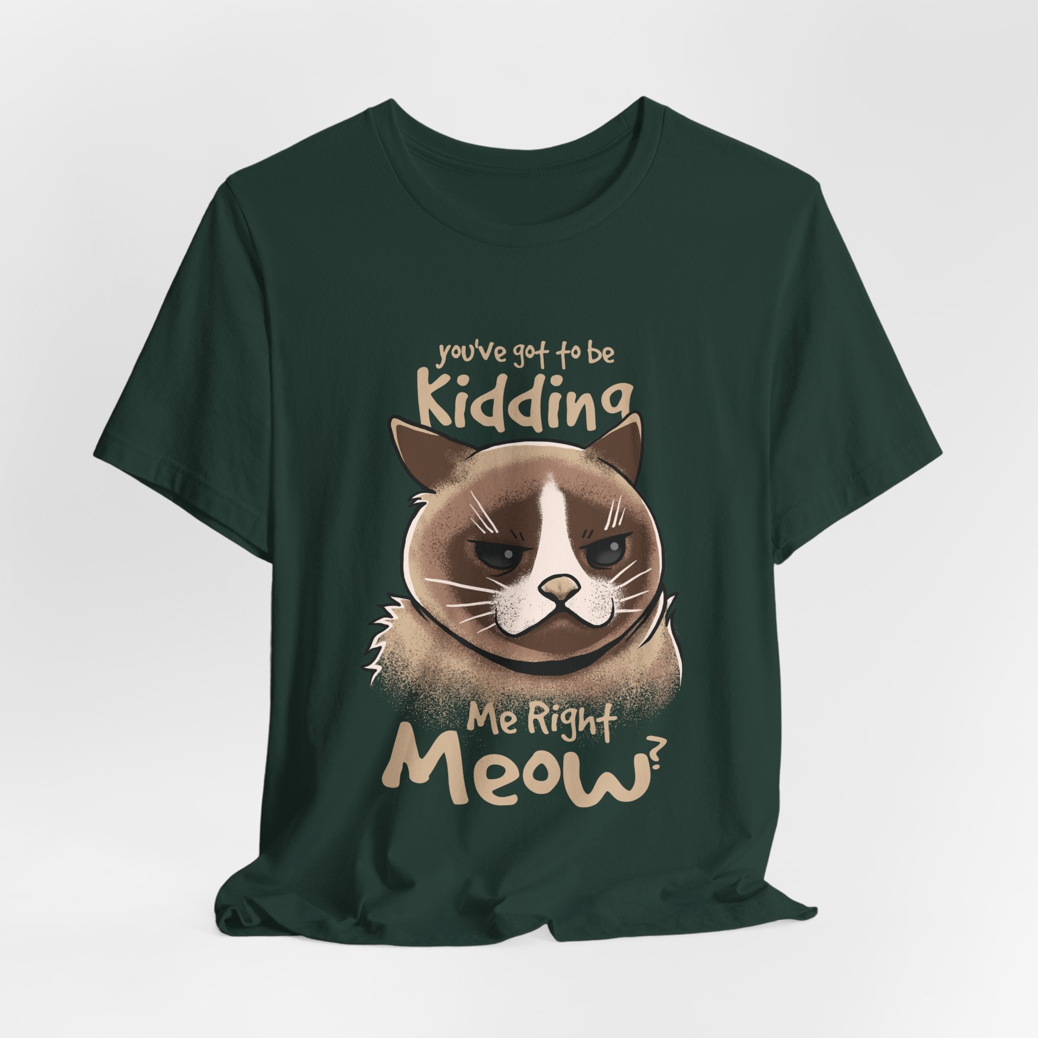 Grumpy Cat “You’ve Got to Be Kidding Me Right Meow” T-Shirt