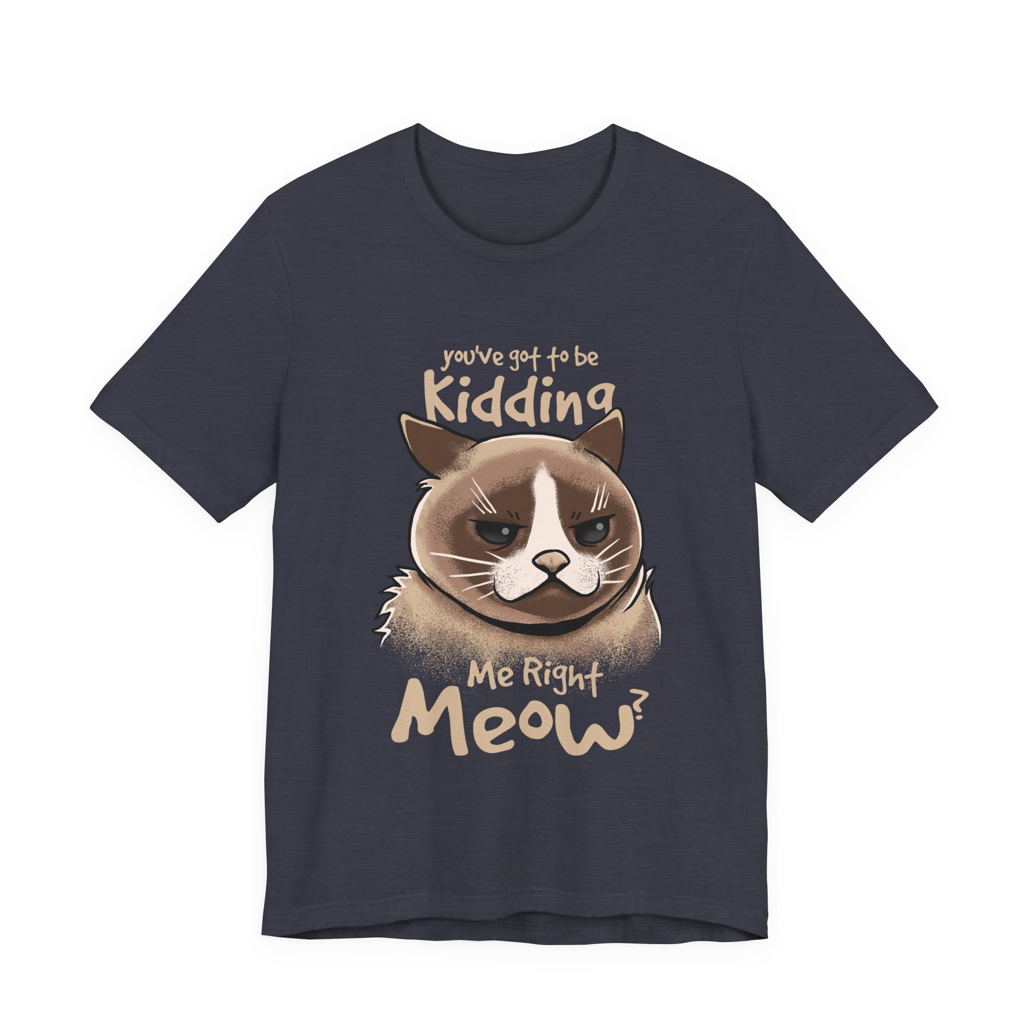 Grumpy Cat “You’ve Got to Be Kidding Me Right Meow” T-Shirt