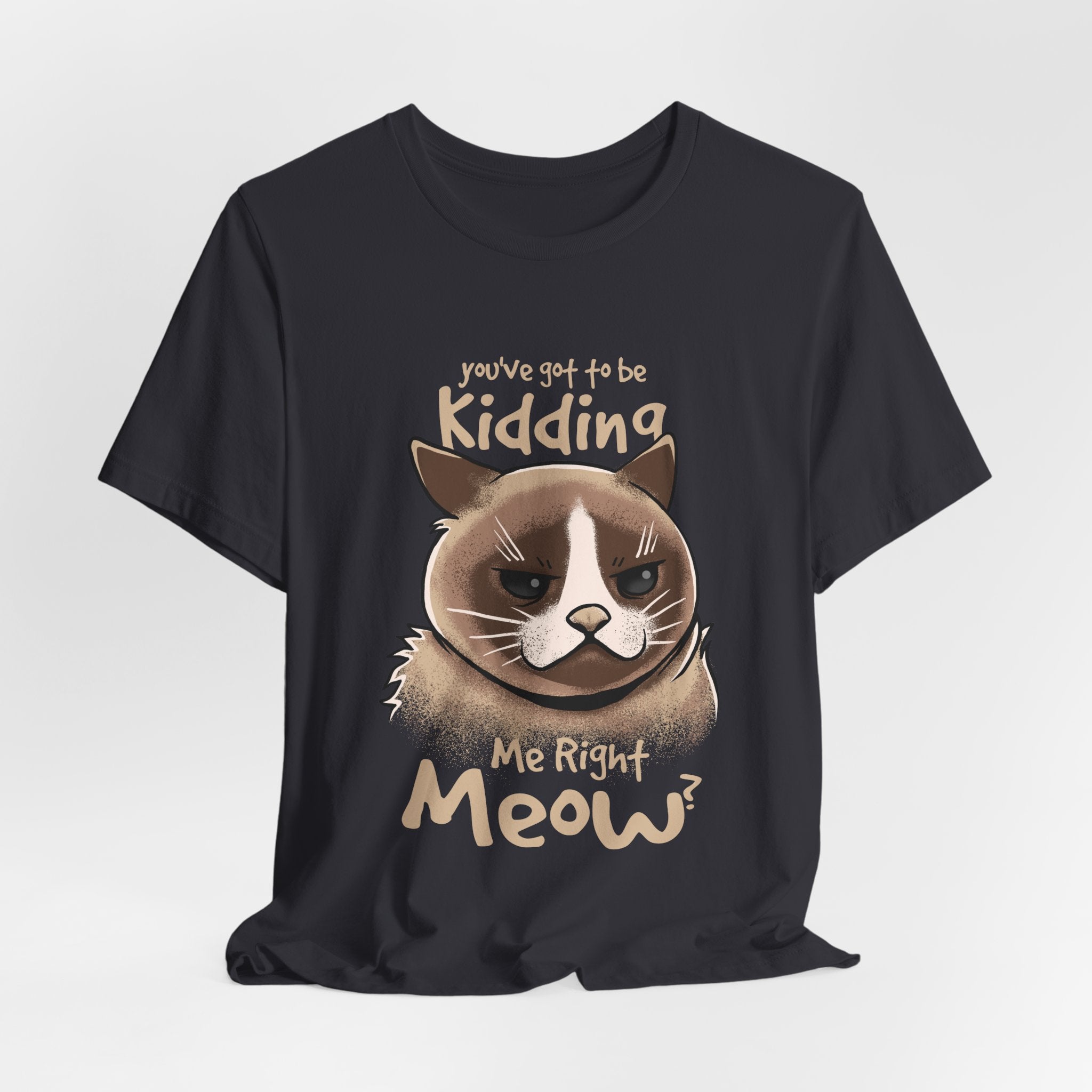 Grumpy Cat “You’ve Got to Be Kidding Me Right Meow” T-Shirt