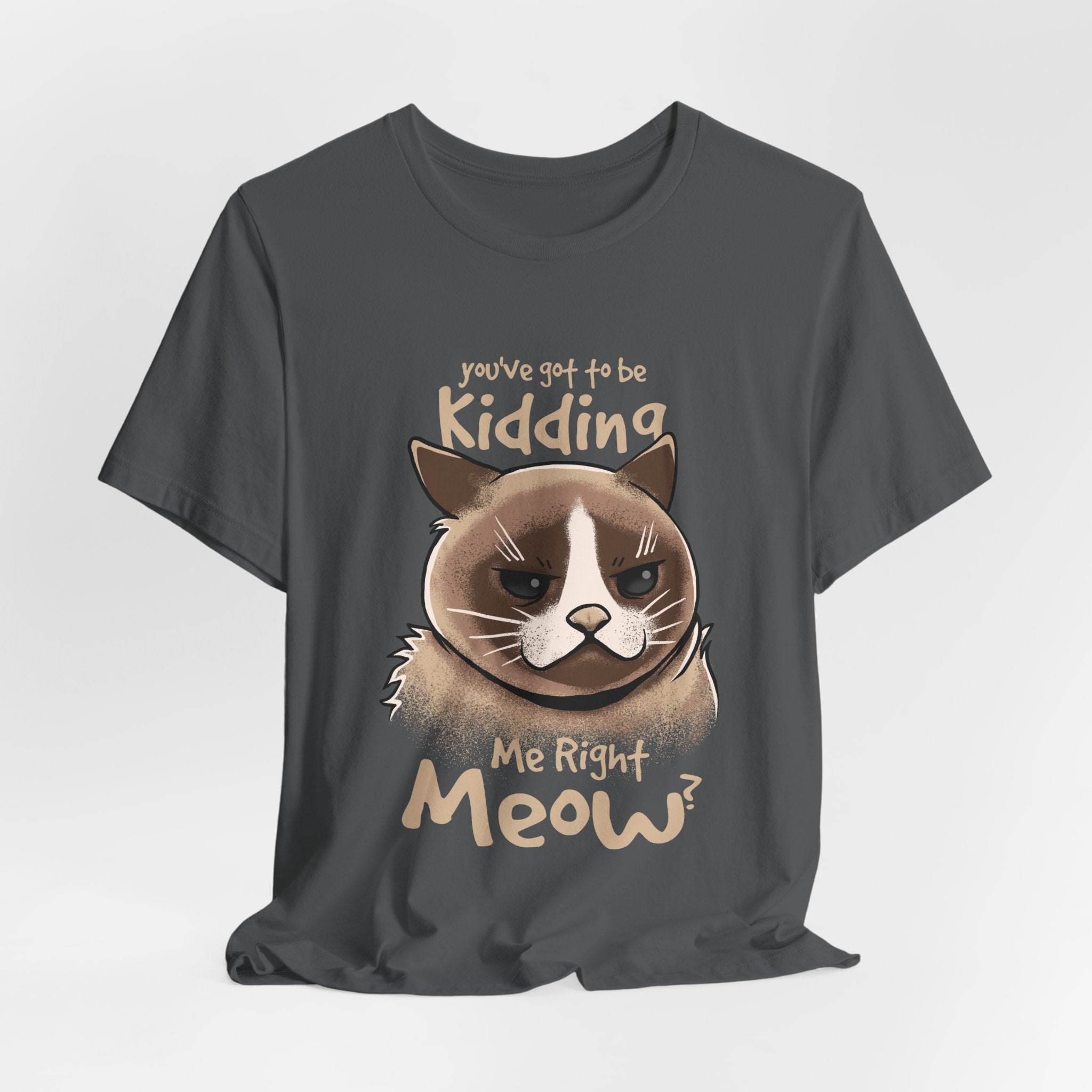 Grumpy Cat “You’ve Got to Be Kidding Me Right Meow” T-Shirt