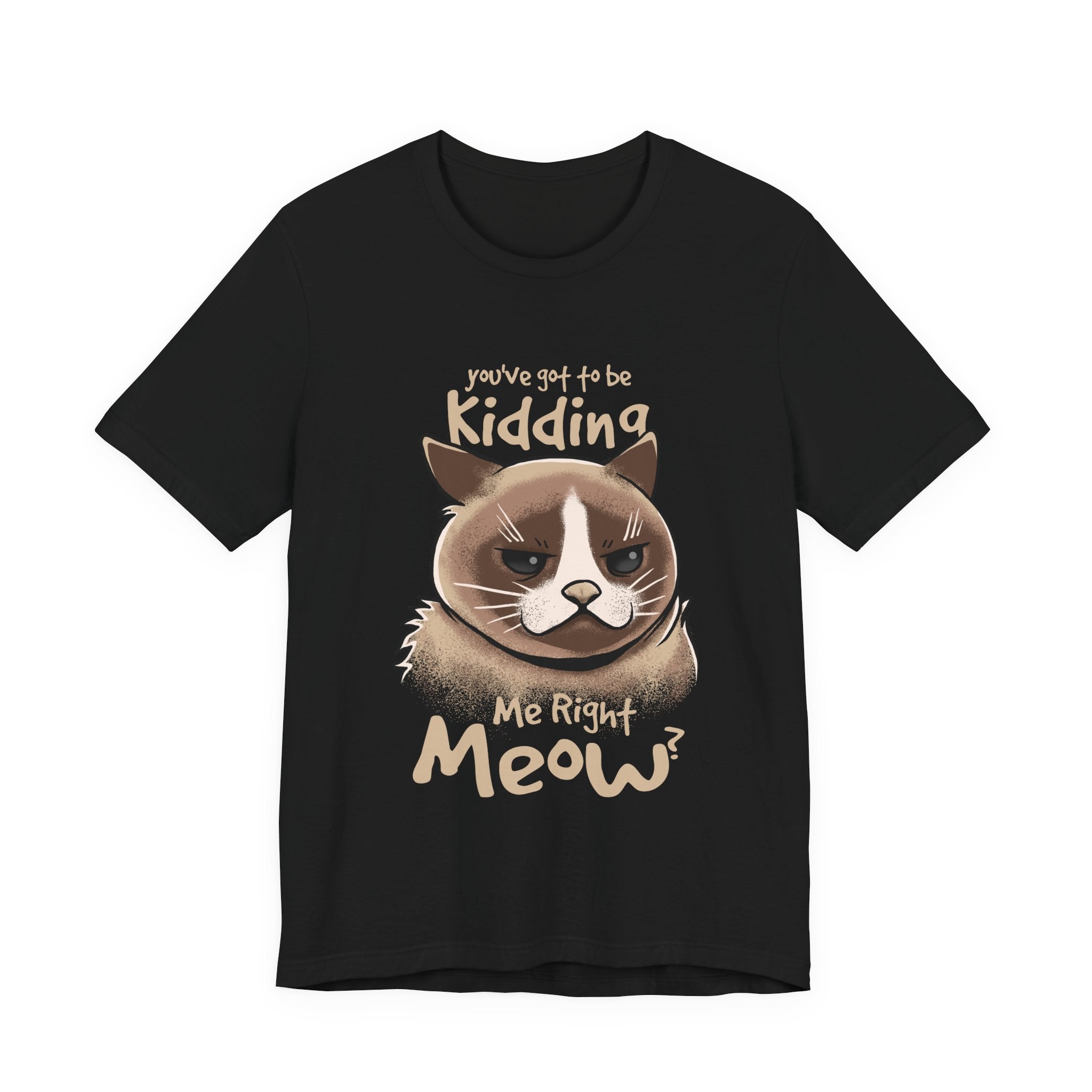 Grumpy Cat “You’ve Got to Be Kidding Me Right Meow” T-Shirt