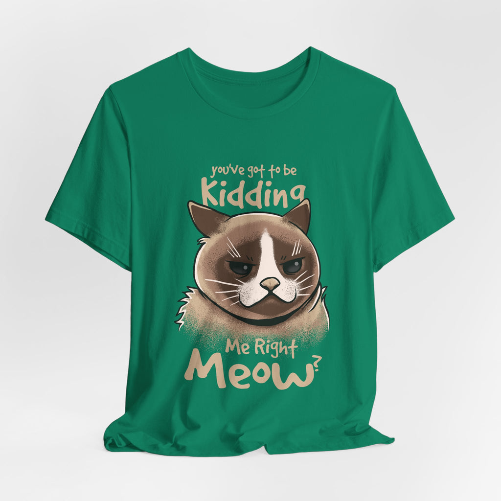 Grumpy Cat “You’ve Got to Be Kidding Me Right Meow” T-Shirt