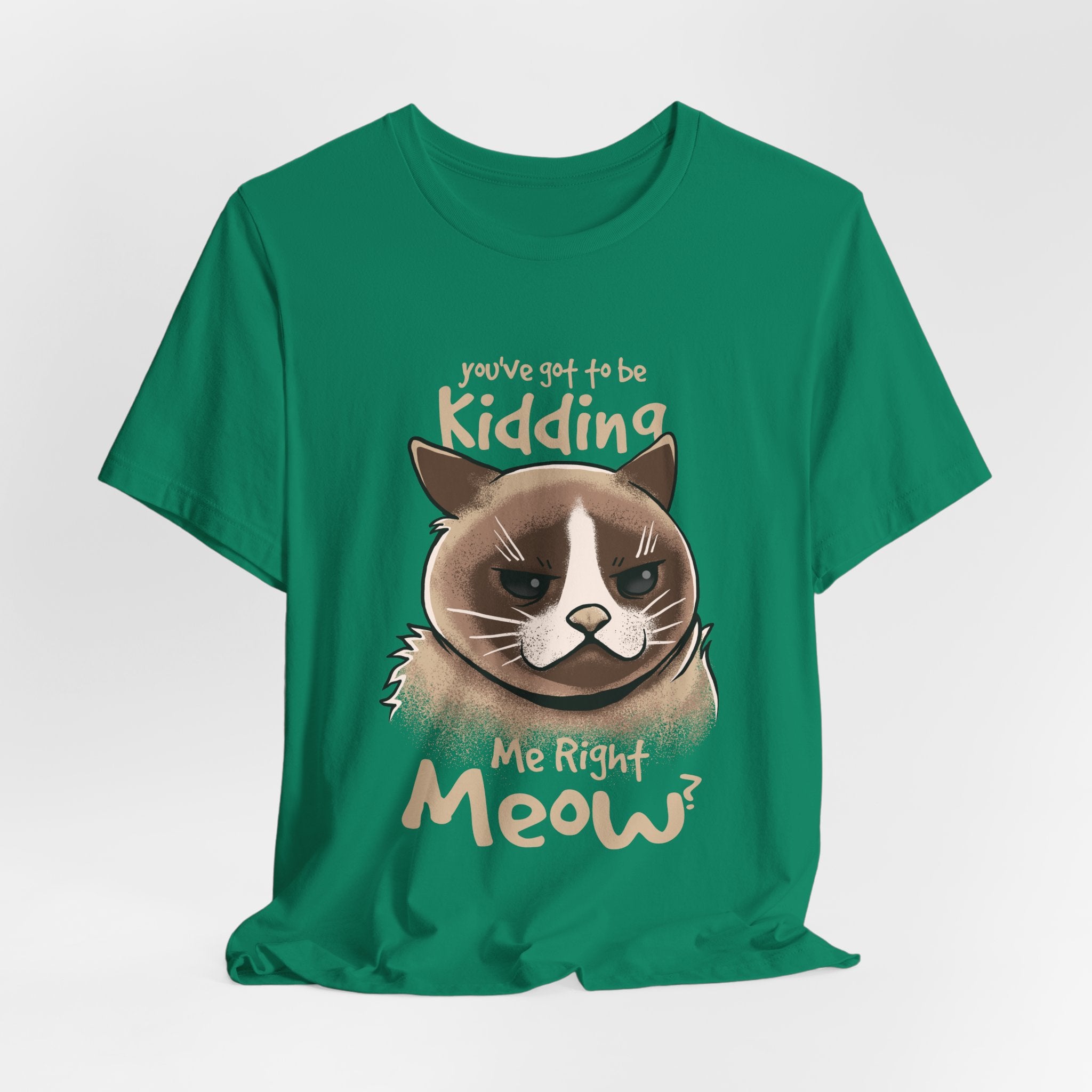 Grumpy Cat “You’ve Got to Be Kidding Me Right Meow” T-Shirt