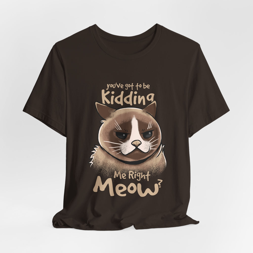 Grumpy Cat “You’ve Got to Be Kidding Me Right Meow” T-Shirt