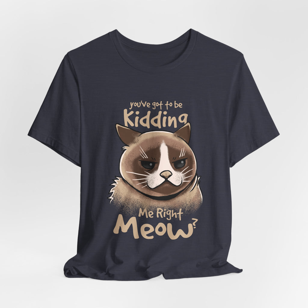 Grumpy Cat “You’ve Got to Be Kidding Me Right Meow” T-Shirt